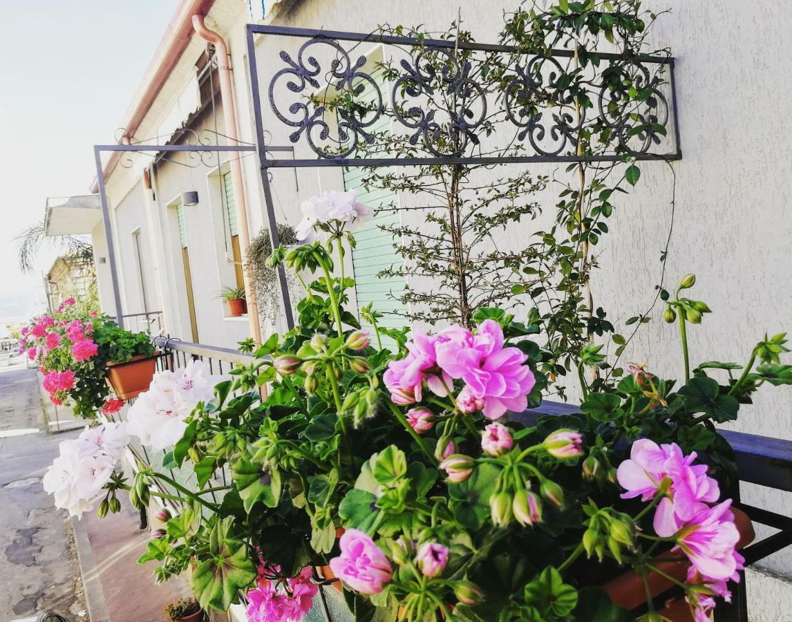 Bed and Breakfast Donna Melina Mileto Zewnętrze zdjęcie